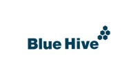 Blue hive (wpp)