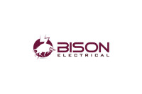 Bison electric