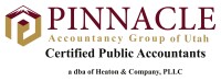 Pinnacle accountancy group