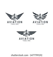 Aviation professional