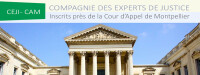 Cour d'Appel de Montpellier SCP Jougla