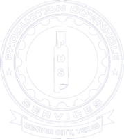 Production downhole services inc.