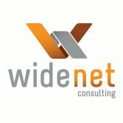 Widenet consulting, llc