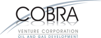 Cobra oil & gas corporation