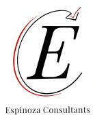 Espinoza consulting services