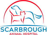 Scarborough animal hospital