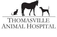 Thomasville veterinary hospital