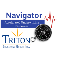 Triton brokerage group