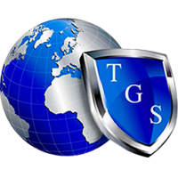 Triton global services
