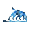 Blue bloodhound, lp