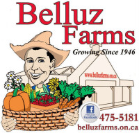 Beluz Farms