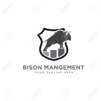 Bison Management Services