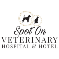 Spot on veterinary