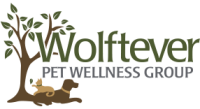 Wolftever pet hospital