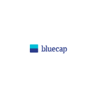 Bluecap management consulting