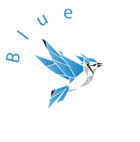 Blue jay communication ltd