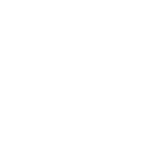 Wall street consultants