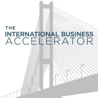 International business accelerator .io