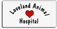 Loveland animal hospital