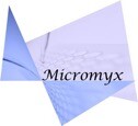 Micromyx llc