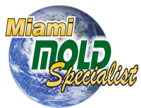 Miami Mold Specialists