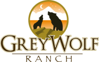 Grey wolf ranch / rancho lobo gris