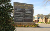 Savannah commons