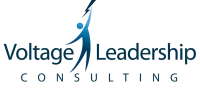 Voltage Leadership Consulting
