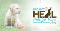 Project 2 heal