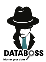 Databoss international corp