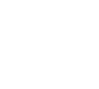 TeamSoft SAC