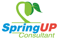 Spring up consultant