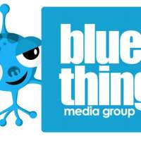 Blue thing web design llc
