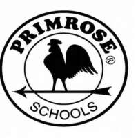 Primrose school of tampa palms