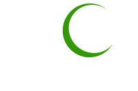 Jb tree service