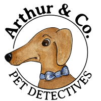 Pet detective