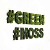 Moss computing inc.