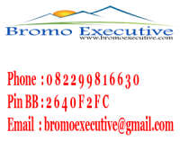 Bromoexecutive