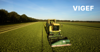 Vereniging van de nederlandse groente- en fruitverwerkende industrie (vigef)