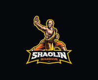 Shaolin monk martial arts