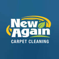 Waynes carpet cleaning
