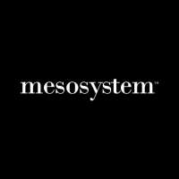 Mesosystem s.a.
