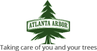 Atlanta arbor tree care specialist