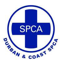 Durban & coast spca