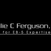 Julie c. ferguson, p.a.   (immigration & nationality law)