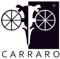 Carraro design management