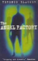 The angel factory ltd