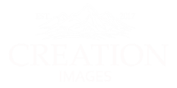 Creationimages