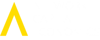 Network capital economics