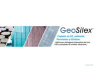 Geosilex